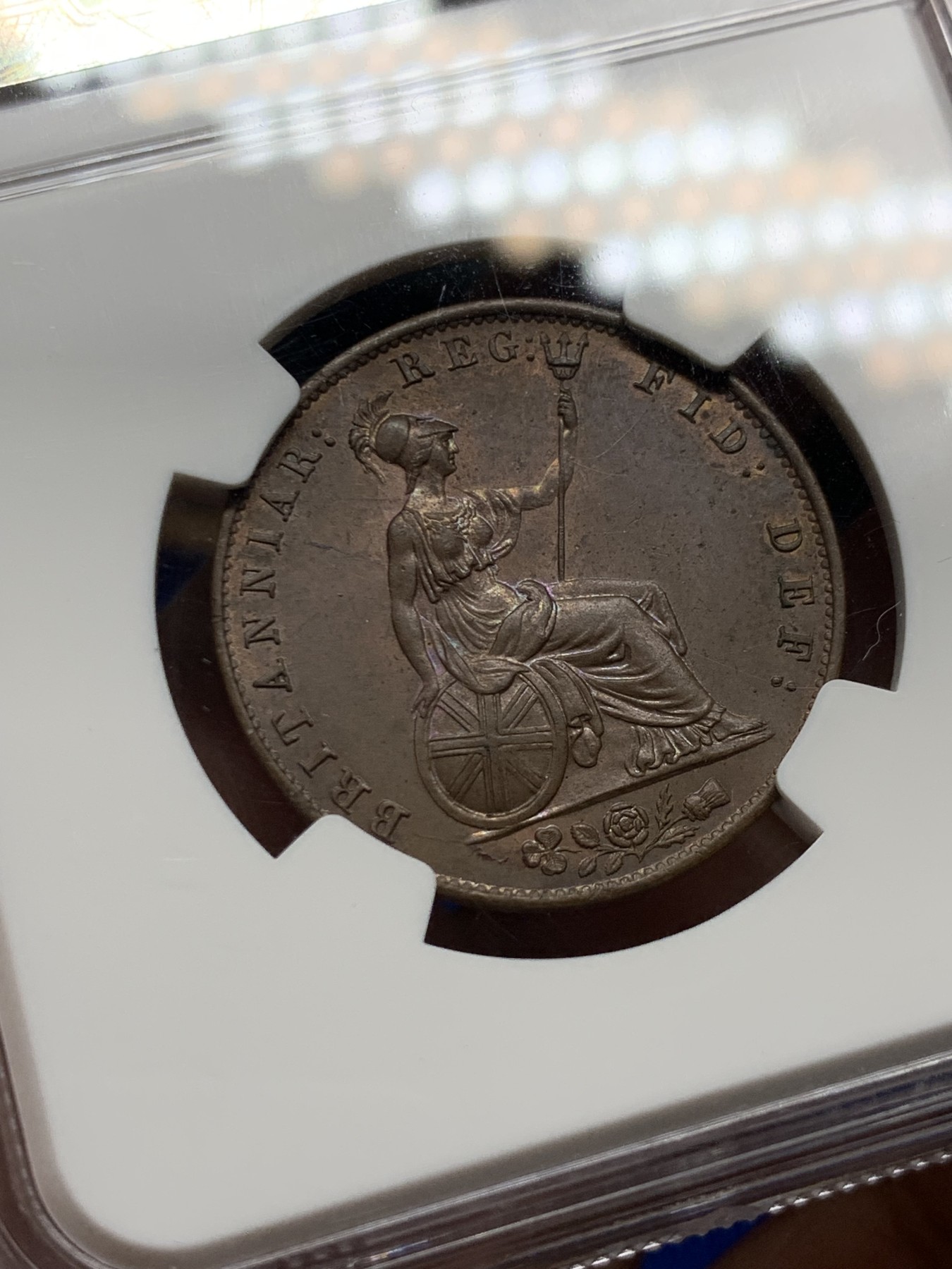 《竞宝斋》第263场-周日，周一 2场连拍 (全场包邮) NGC MS63BN 英国1841年维多利亚1/2便士铜币，小维早期年份。状态极佳的一颗，中心部位铜光犹存，小维发丝女神胸口状态犀利，观感不输64。老盒严评