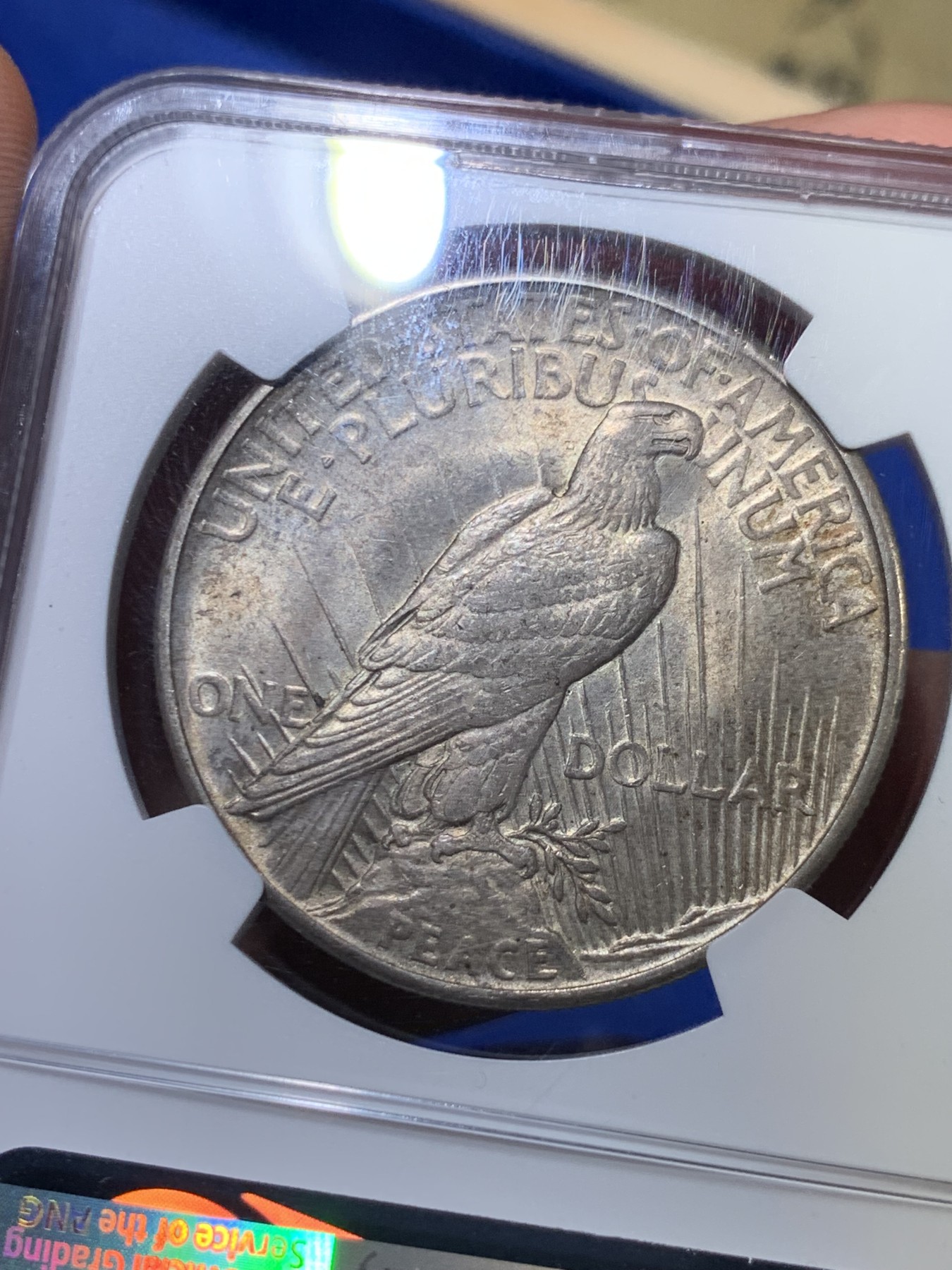 《竞宝斋》第263场-周日，周一 2场连拍 (全场包邮) NGC MS62 美国 1921年 和平鸽银币 首年高浮雕 和平币中的大名誉品 1921年12月28日投产 总共生产100万枚 美系流通币中铸币量算很少了