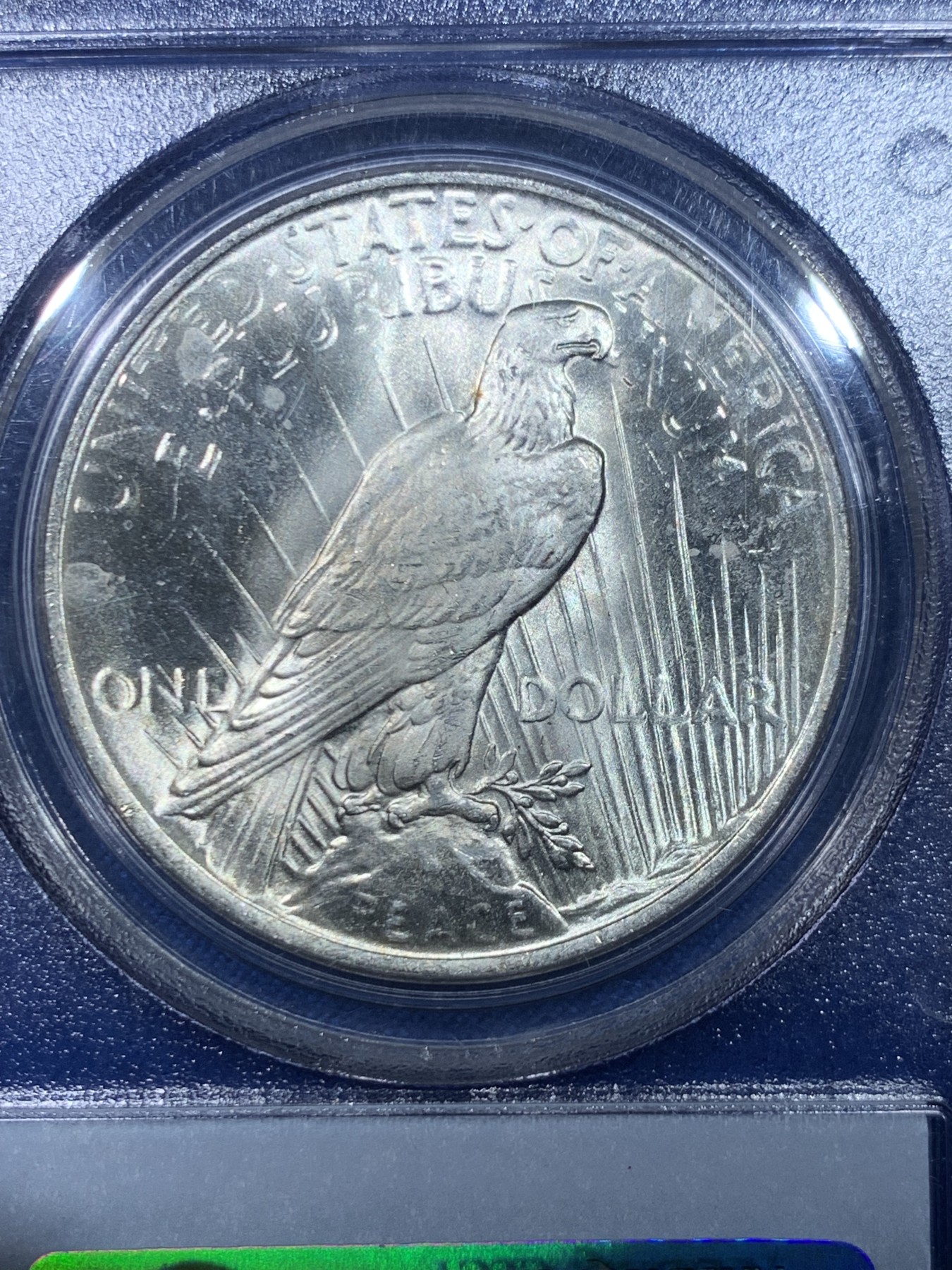 《竞宝斋》第264场-周日，周一 2场连拍 (全场包邮) PCGS MS63 美国1923年和平银币