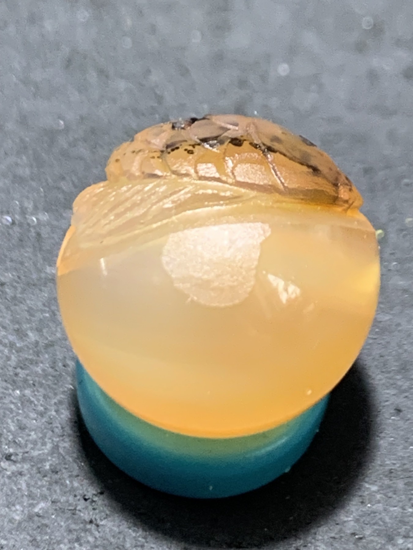 精美高玉化亚光冰粉色海洋玉髓手工俏色巧雕富贵有鱼圆珠一个