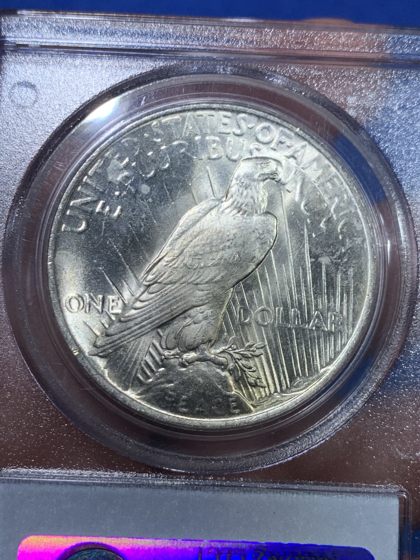 《竞宝斋》第264场-周日，周一 2场连拍 (全场包邮) PCGS MS63 美国1923年和平银币