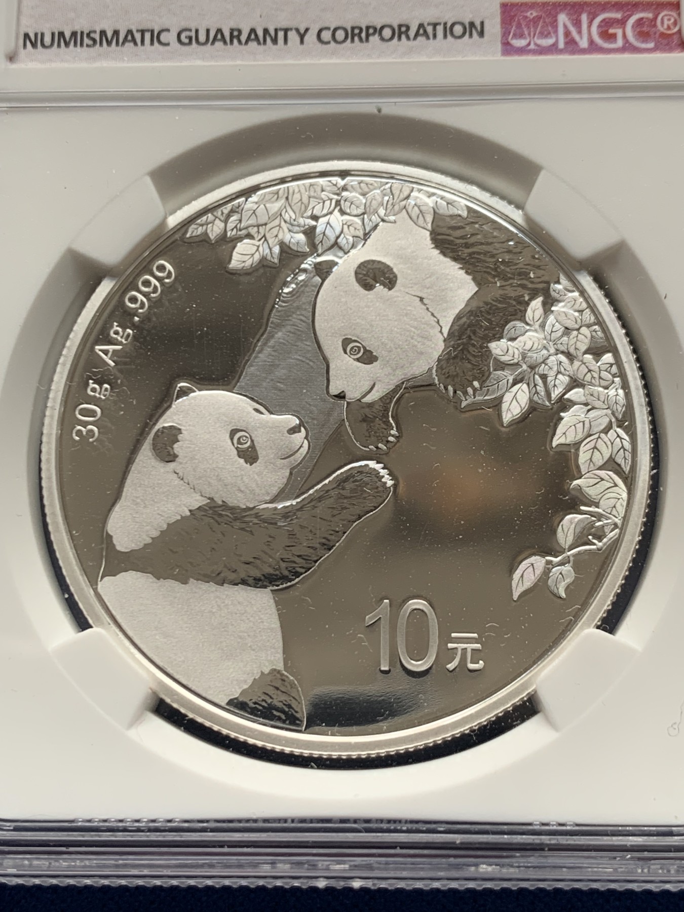 《竞宝斋》第264场-周日，周一 2场连拍 (全场包邮) NGC MS70 中国 2023年 10元 30克熊猫币 银币（含证书）