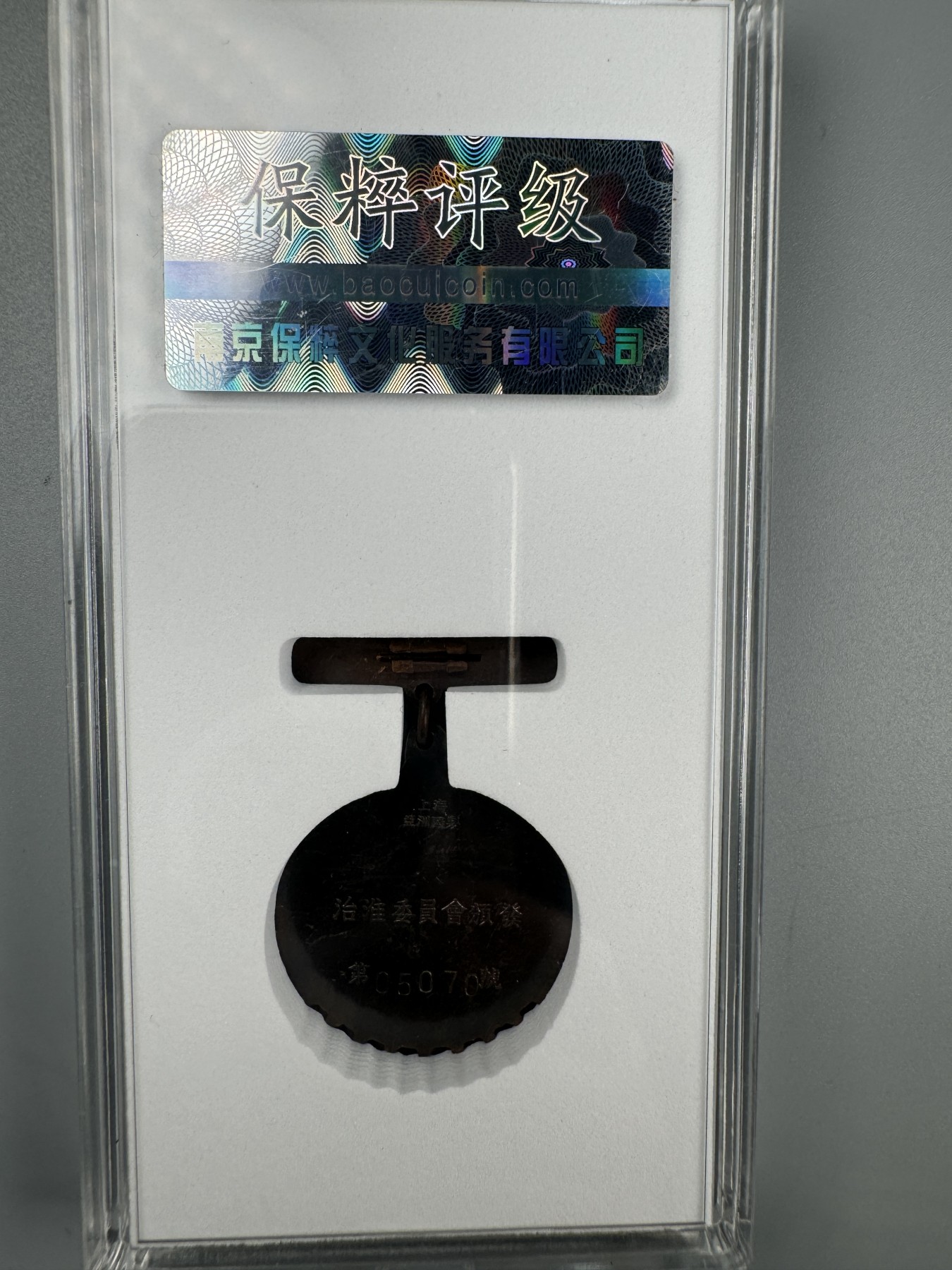 秋玥章舍第二期 50.治淮纪念章05070