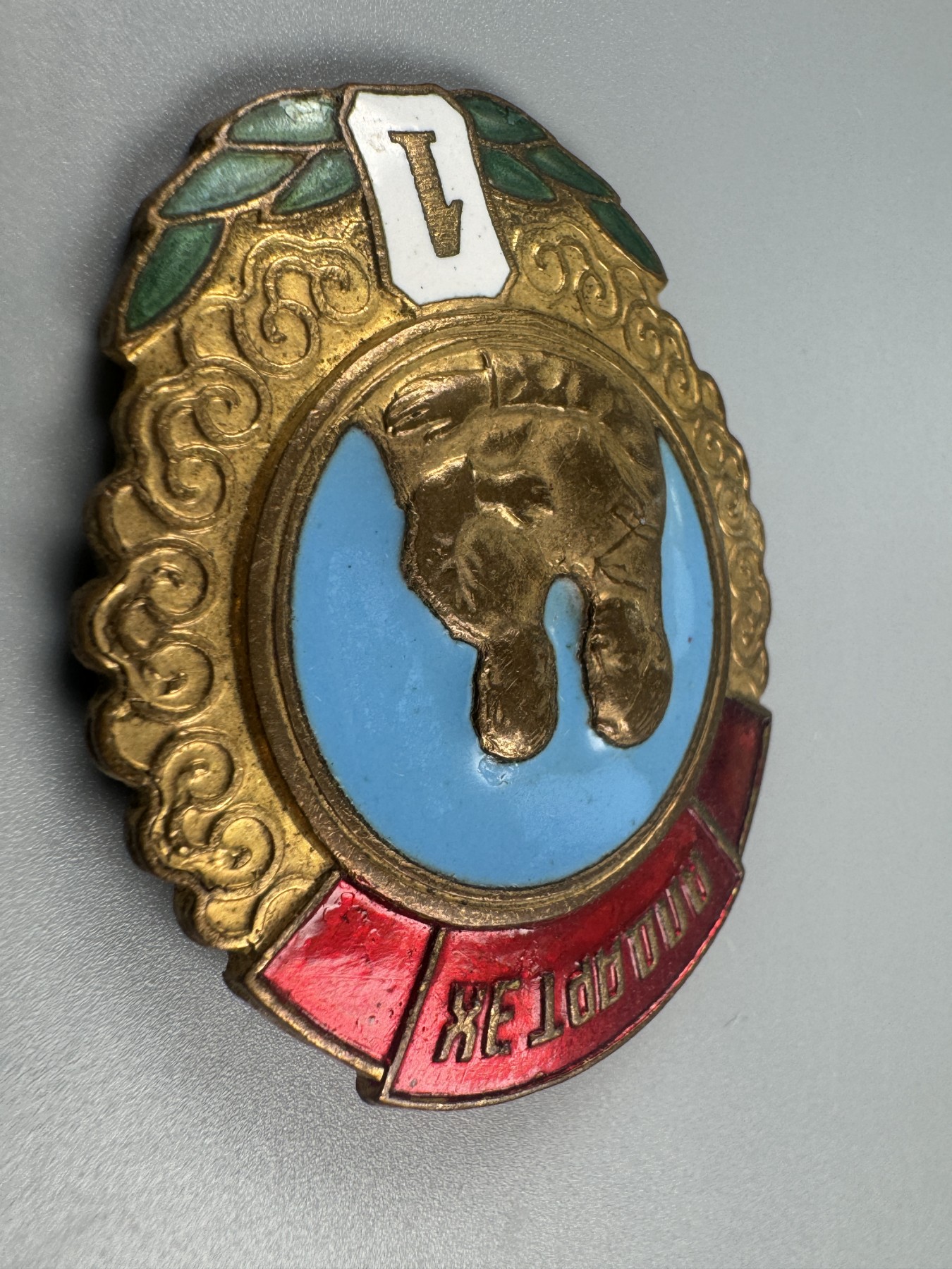 秋玥章舍第二期 14.蒙古英雄母亲勋章1级57796