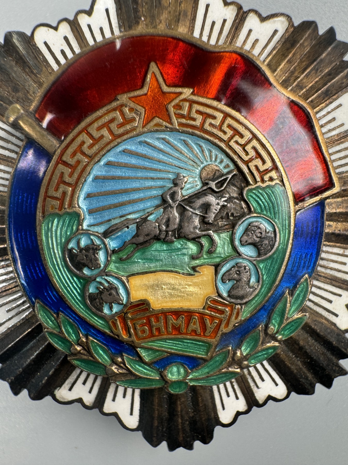 秋玥章舍第二期 6.劳动红旗勋章1335