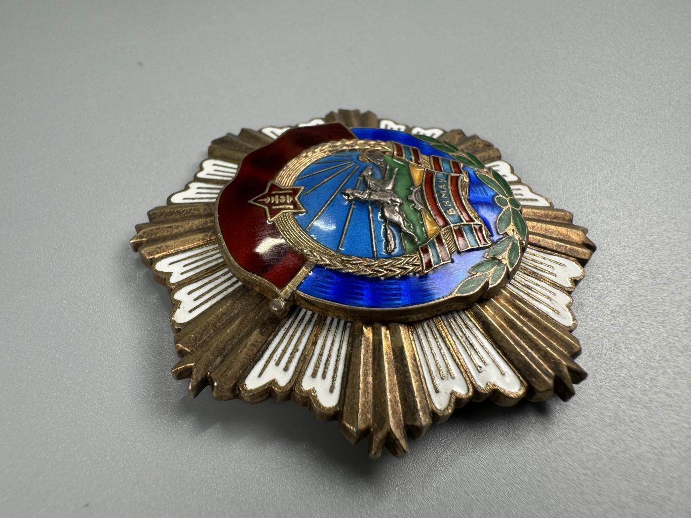 秋玥章舍第二期 劳动红旗勋章 5369