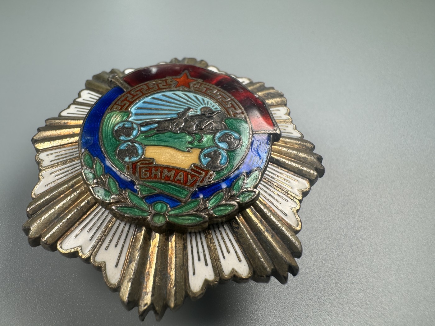 秋玥章舍第二期 5.劳动红旗勋章816