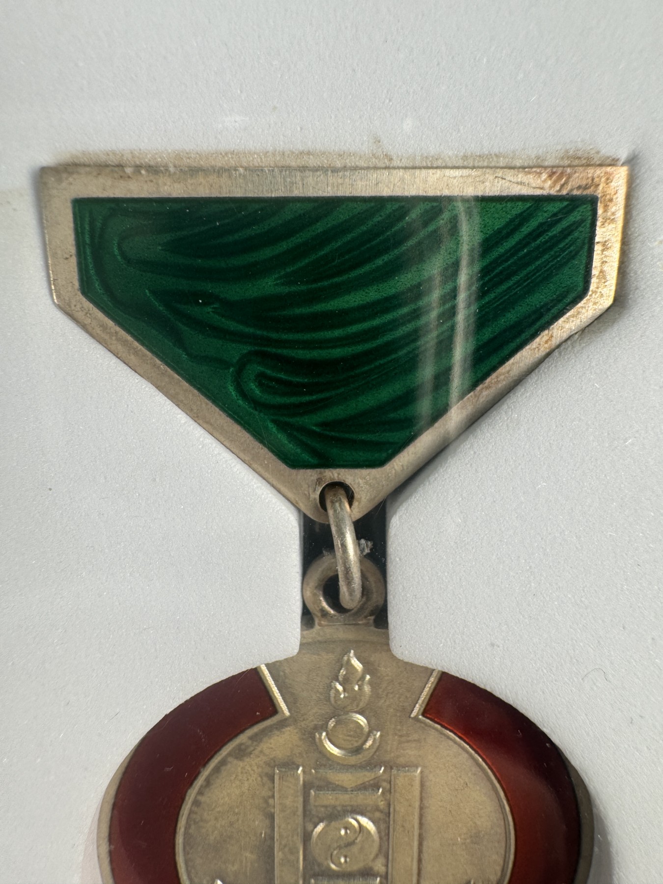 秋玥章舍第二期 11.蒙古维护社会秩序1966