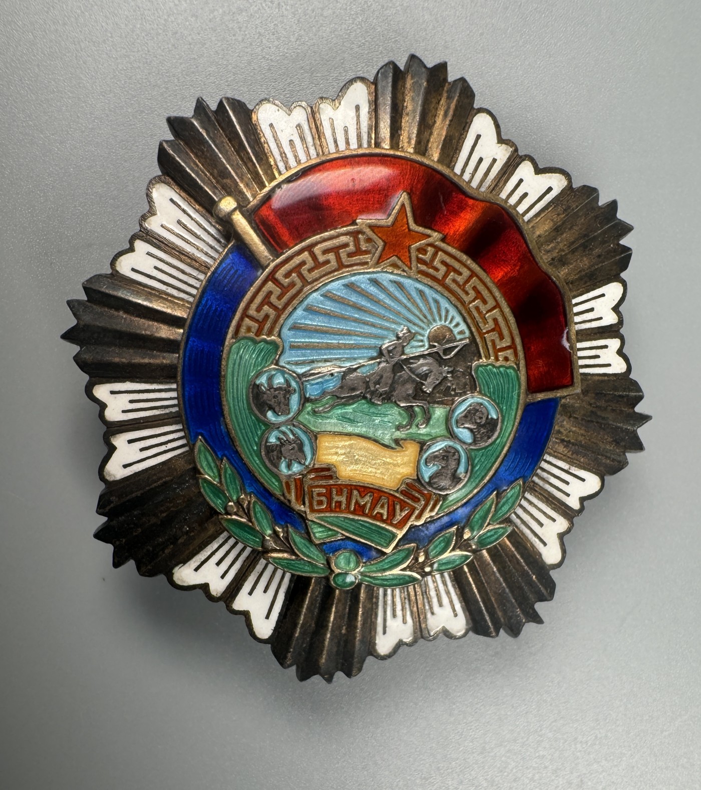 秋玥章舍第二期 6.劳动红旗勋章1335