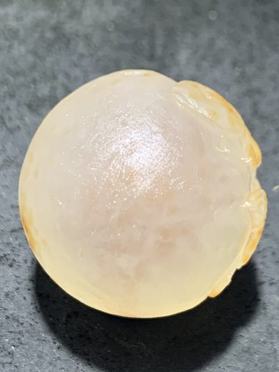 精美冰飘亚光满冰飘糖心料战国红玛瑙手工俏色巧雕鲤鱼出水圆珠一个 精美冰飘亚光满冰飘糖心料战国红玛瑙手工俏色巧雕鲤鱼出水圆珠一个