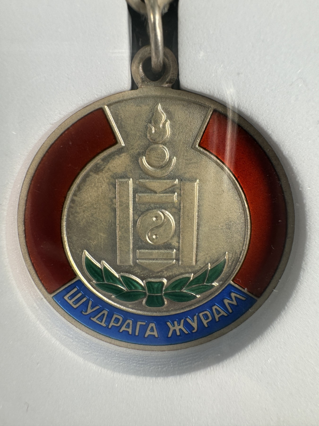 秋玥章舍第二期 11.蒙古维护社会秩序1966