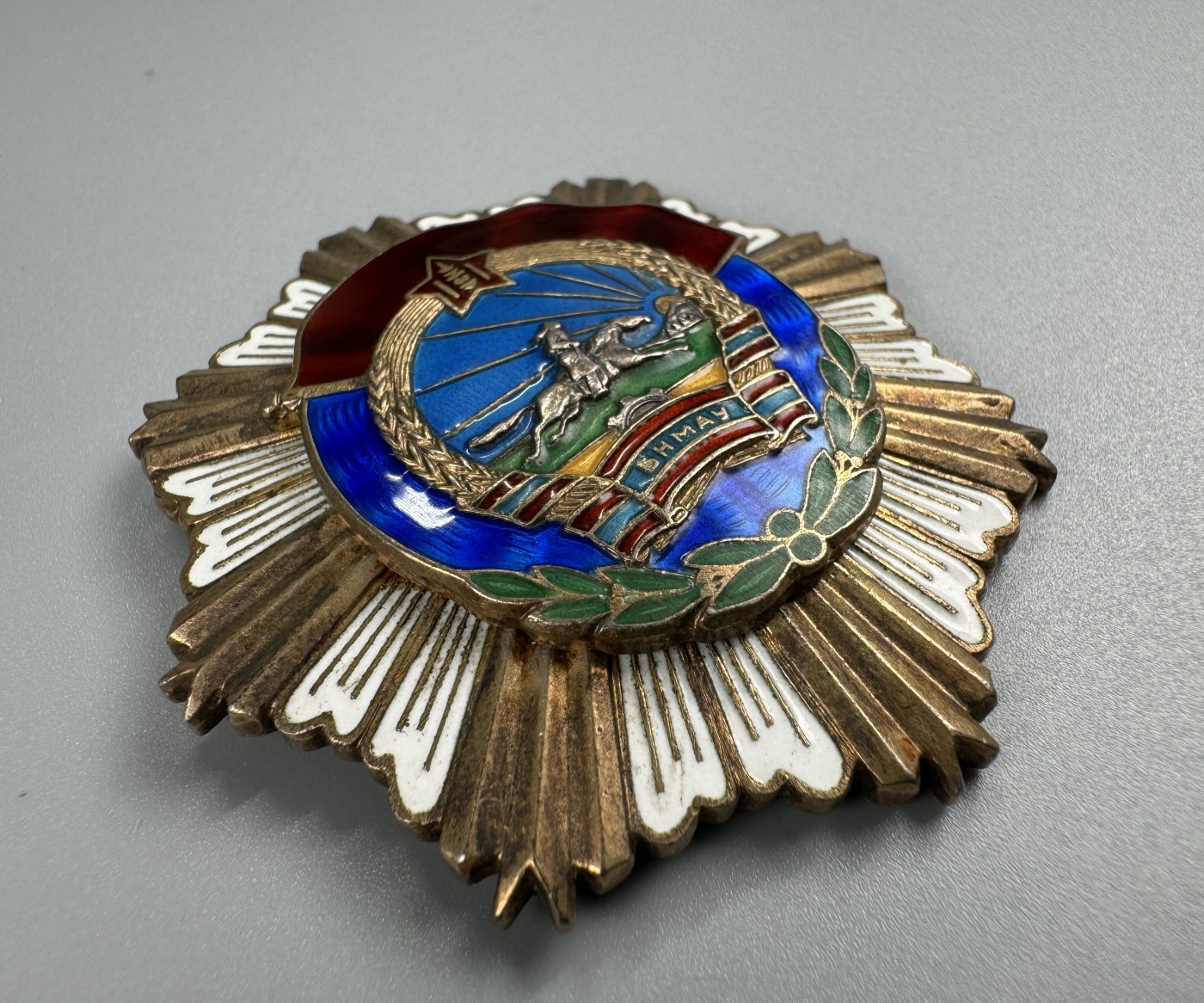 秋玥章舍第二期 劳动红旗勋章 5369