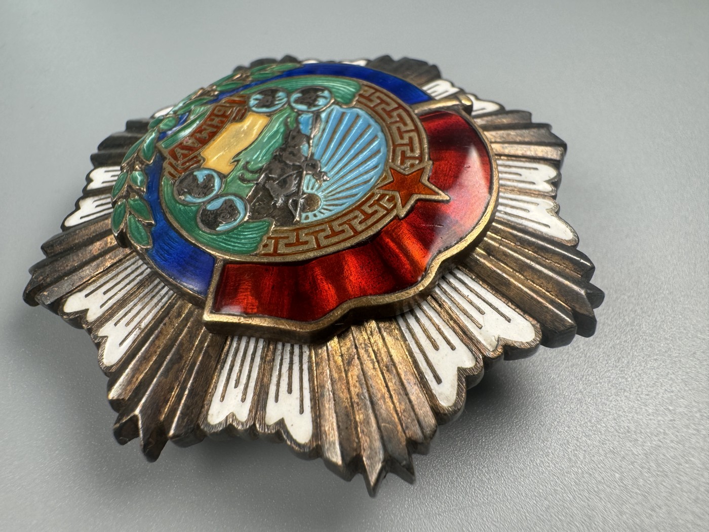 秋玥章舍第二期 6.劳动红旗勋章1335