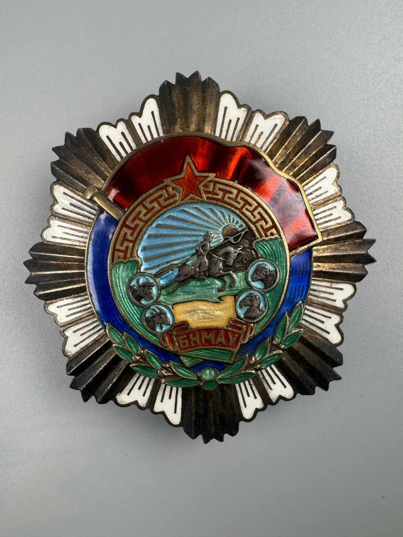 秋玥章舍第二期 6.劳动红旗勋章1335