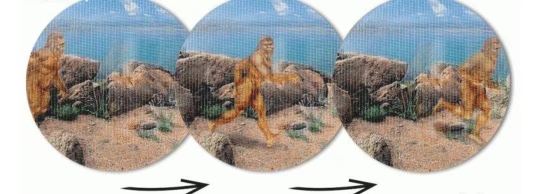 【币将精彩】世界钱币拍卖★五一专场★（2025-5-3）