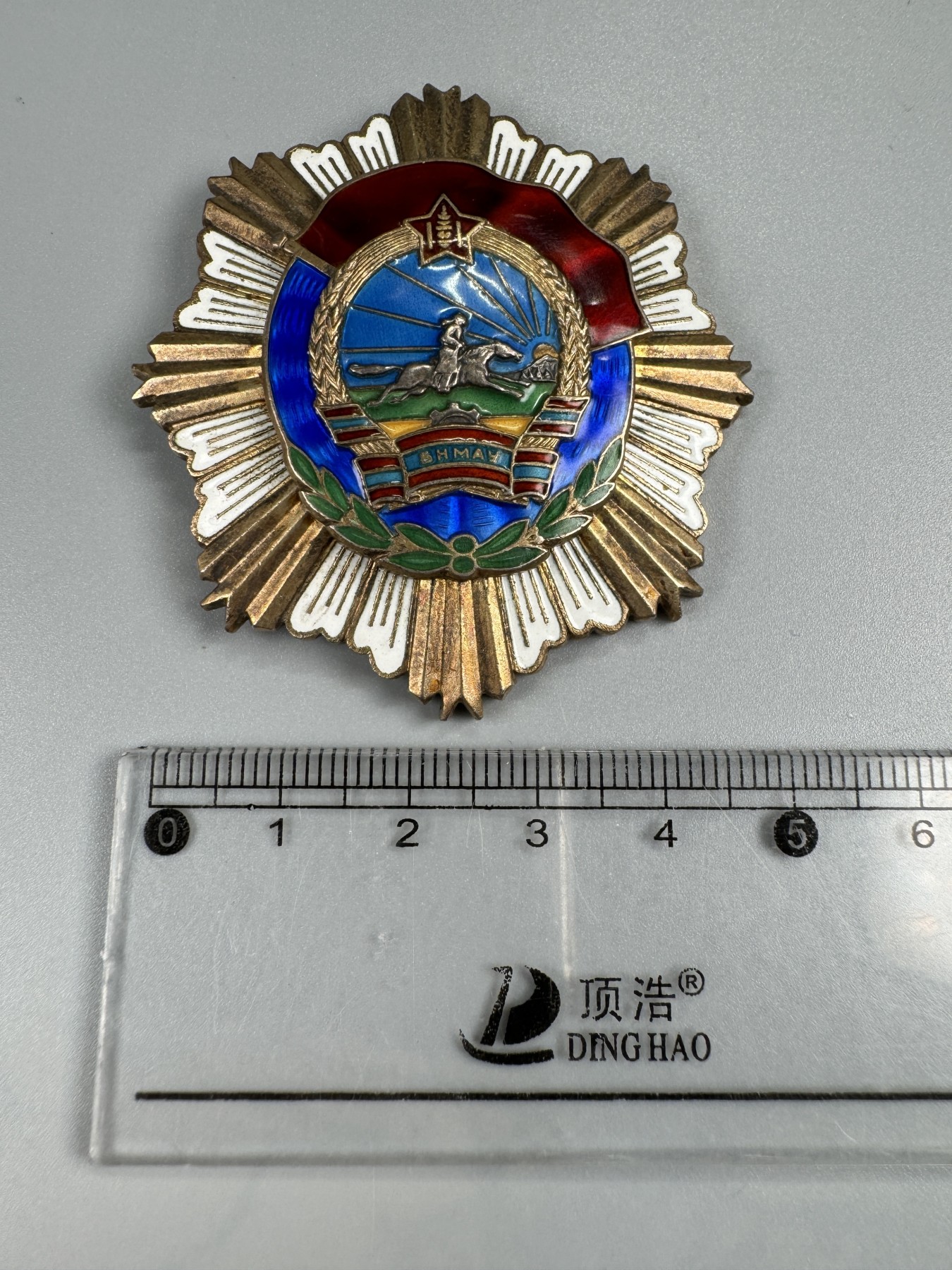 秋玥章舍第二期 劳动红旗勋章 5369