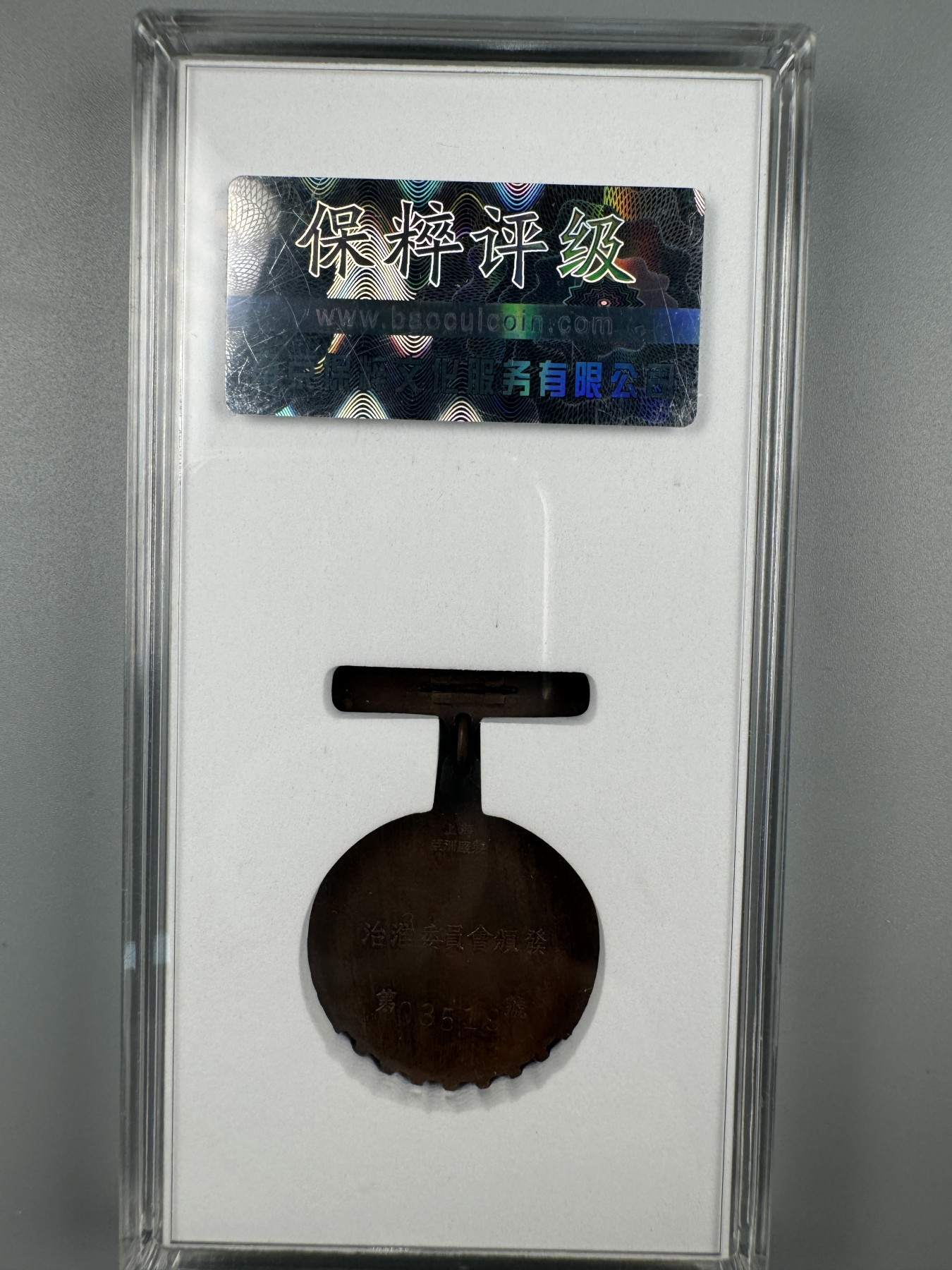 秋玥章舍第二期 49.治淮纪念章03519