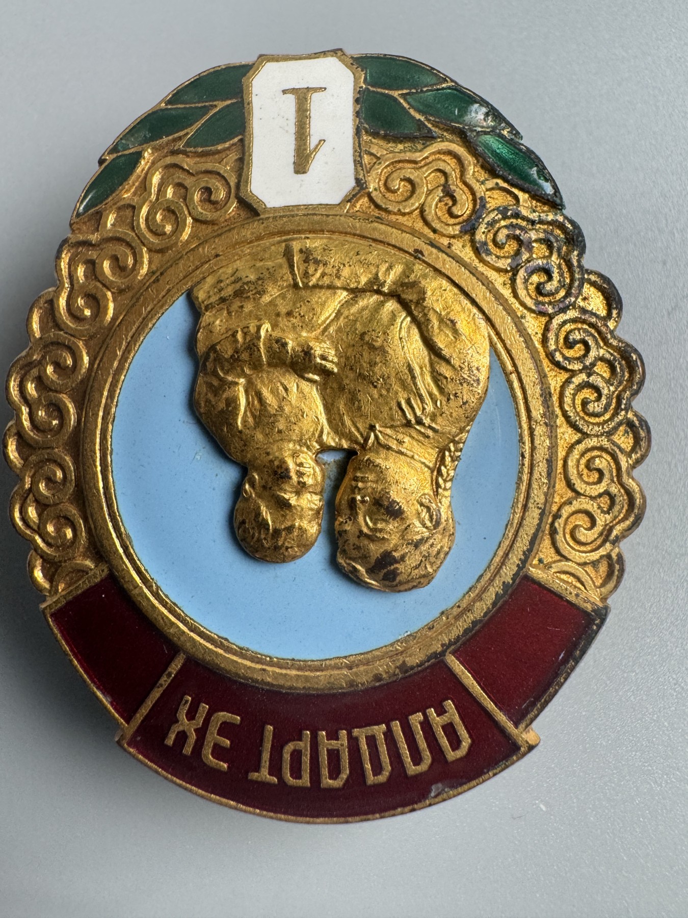 秋玥章舍第二期 13.蒙古英雄母亲勋章1级4737