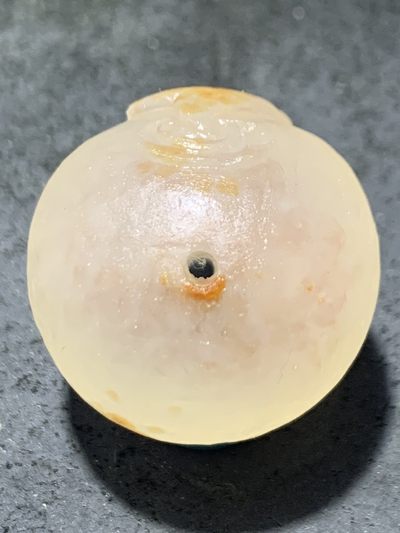 精美冰飘亚光满冰飘糖心料战国红玛瑙手工俏色巧雕鲤鱼出水圆珠一个 精美冰飘亚光满冰飘糖心料战国红玛瑙手工俏色巧雕鲤鱼出水圆珠一个