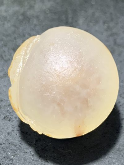 精美冰飘亚光满冰飘糖心料战国红玛瑙手工俏色巧雕鲤鱼出水圆珠一个 精美冰飘亚光满冰飘糖心料战国红玛瑙手工俏色巧雕鲤鱼出水圆珠一个