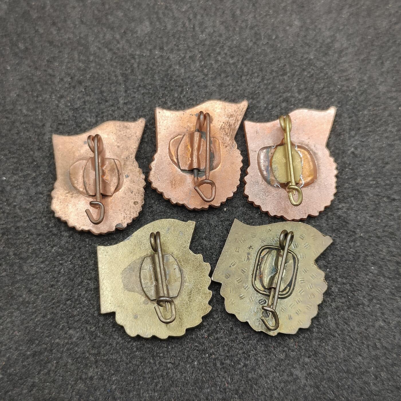 全场0元起拍 第153期 咸鱼国勋章拍卖专场 5月5日（周日）下午6：00开始 东德fdj徽章五个