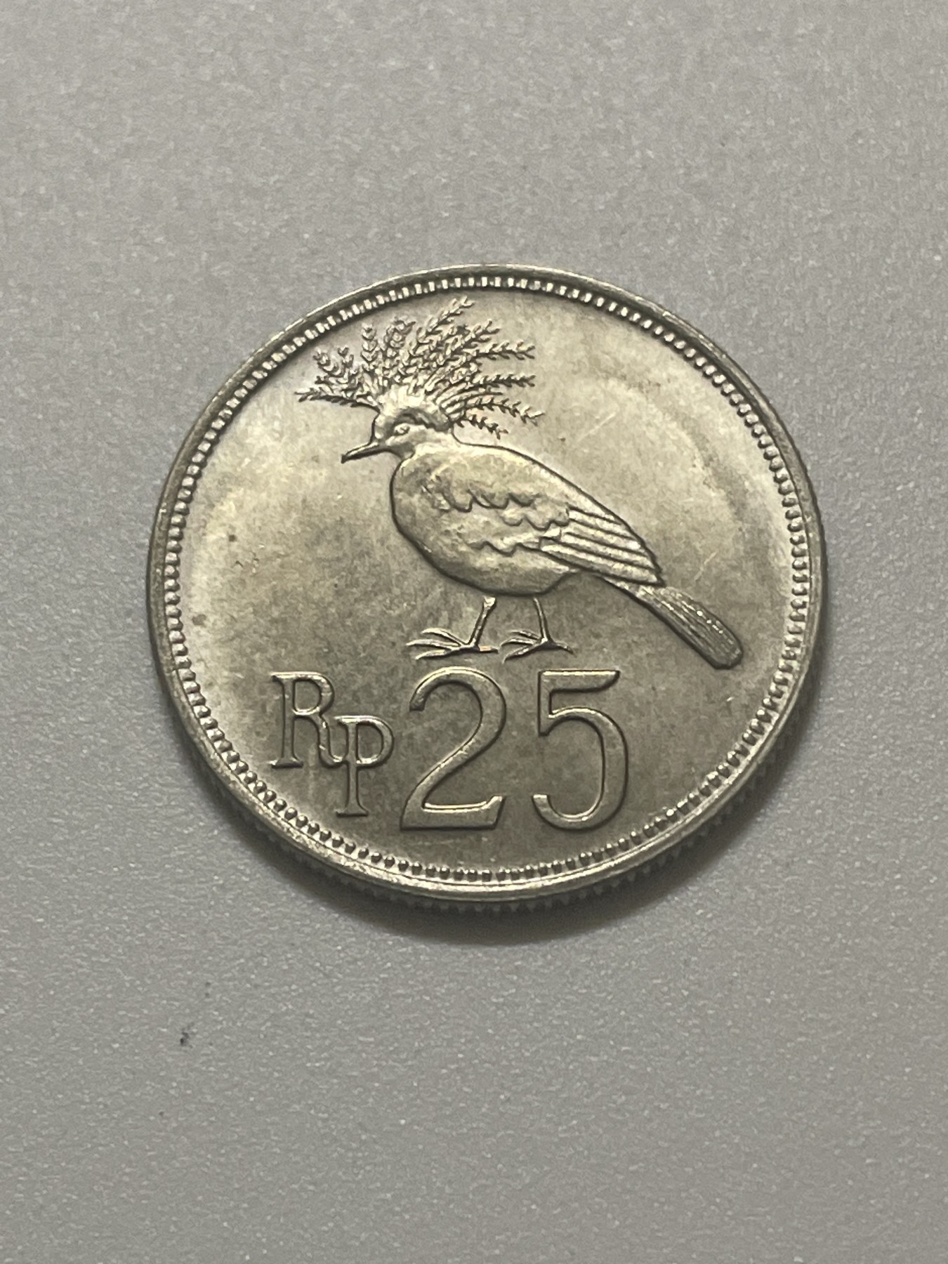 神仙姐姐散币好品专场第三十八期（无佣金满邮自动发出 印尼 25 卢比