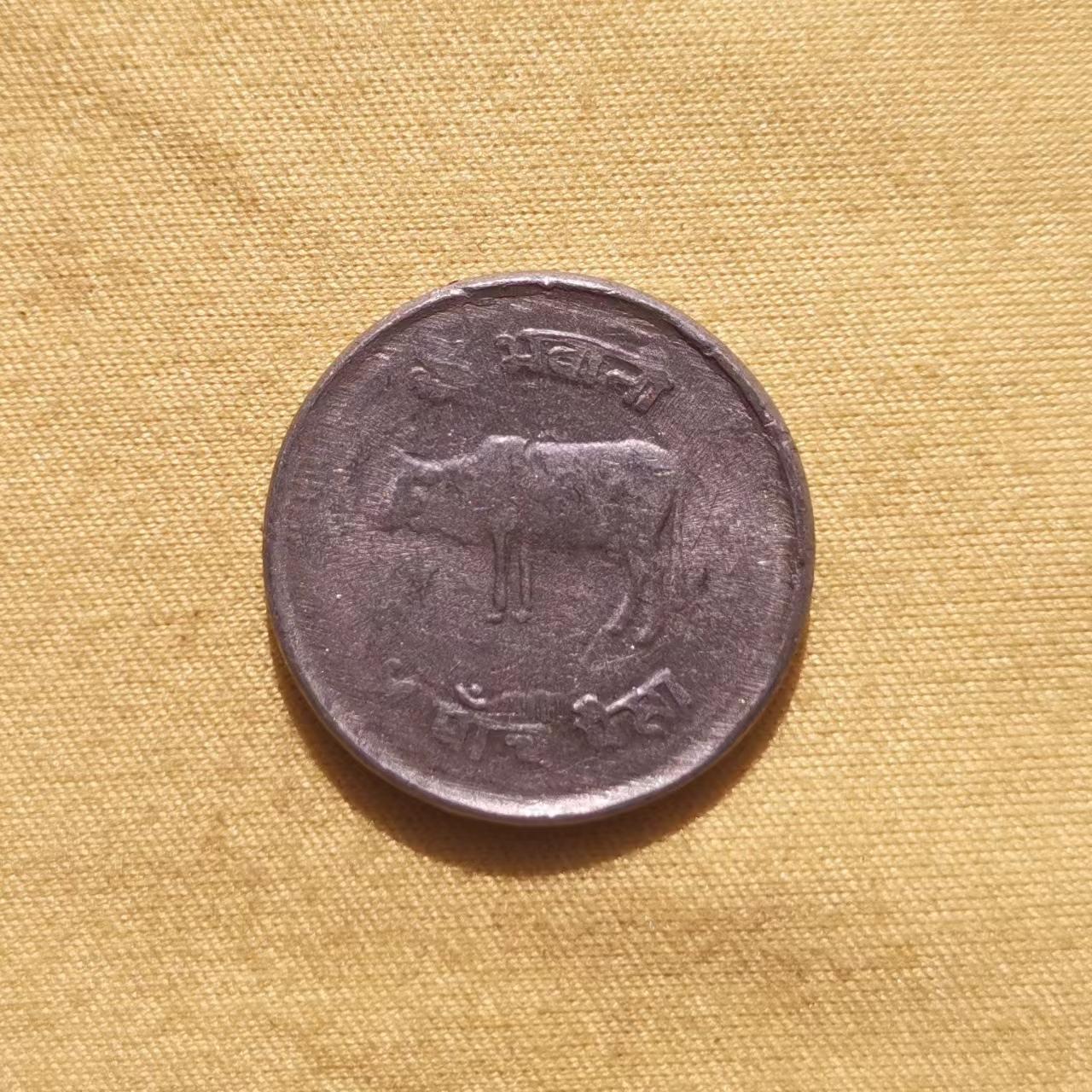 【易洋钱喜】第58场 外国硬币专场，本场满88元包邮，本店在第59场之后不再上架 1977年  尼泊尔5派莎