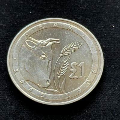 🌹外币初藏🌹🐯第19场 每周二四六晚8点 - 塞浦路斯1995年一镑克朗型粮农纪念币