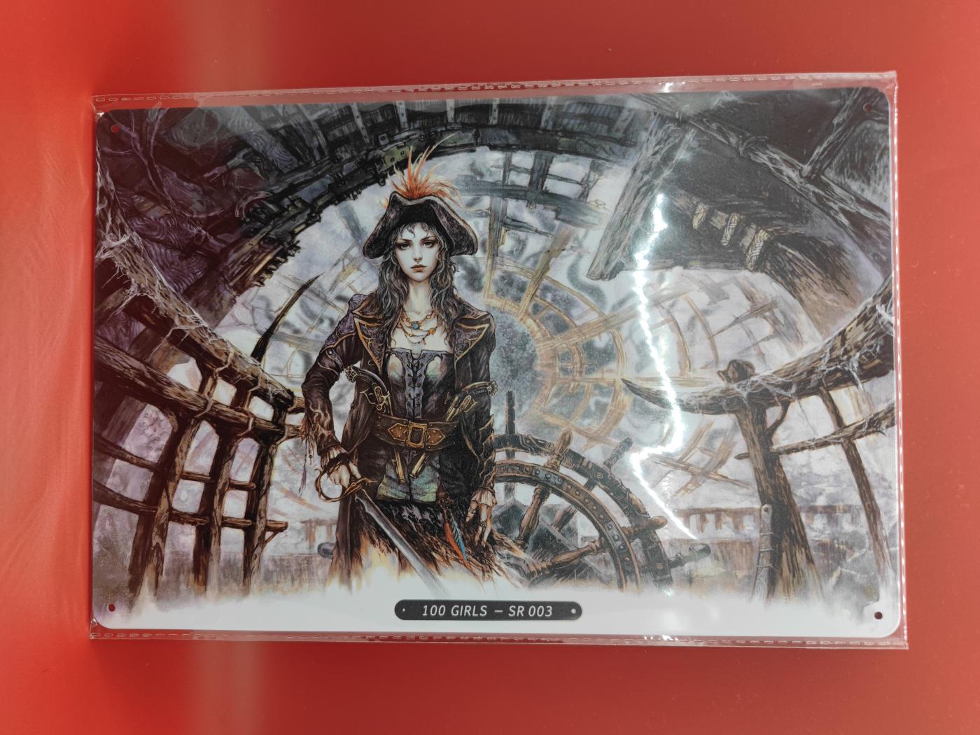 妖精的尾巴卡牌拍卖第十七期(收拍品) 睿作*100girl铁皮画-2