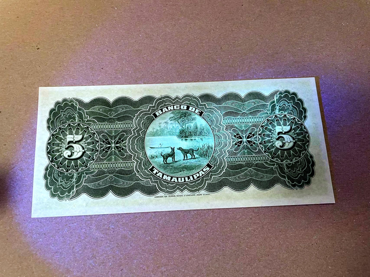 【Blue Auction】✨世界纸币精拍第471期【精】   墨西哥 1902年5比索 二犬观湖 小女孩  ABNC出品雕刻精美 全新UNC 大票幅