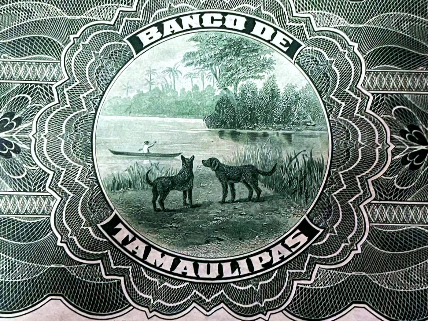 【Blue Auction】✨世界纸币精拍第471期【精】   墨西哥 1902年5比索 二犬观湖 小女孩  ABNC出品雕刻精美 全新UNC 大票幅