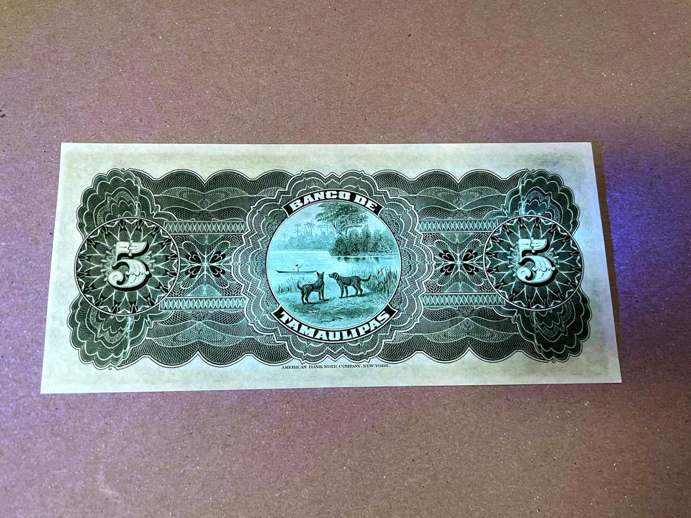 【Blue Auction】✨世界纸币精拍第471期【精】   墨西哥 1902年5比索 二犬观湖 小女孩  ABNC出品雕刻精美 全新UNC 大票幅