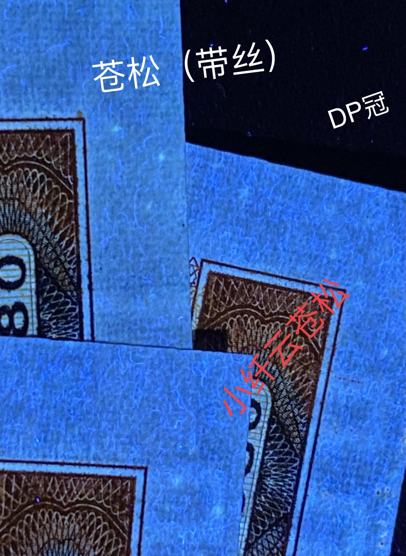 805荧光币及补号 🔥ACG三星68E小纤云苍松冠军分