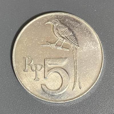 0505回流 - 印度尼西亚1970年5卢比黑燕卷尾鸟28mm 