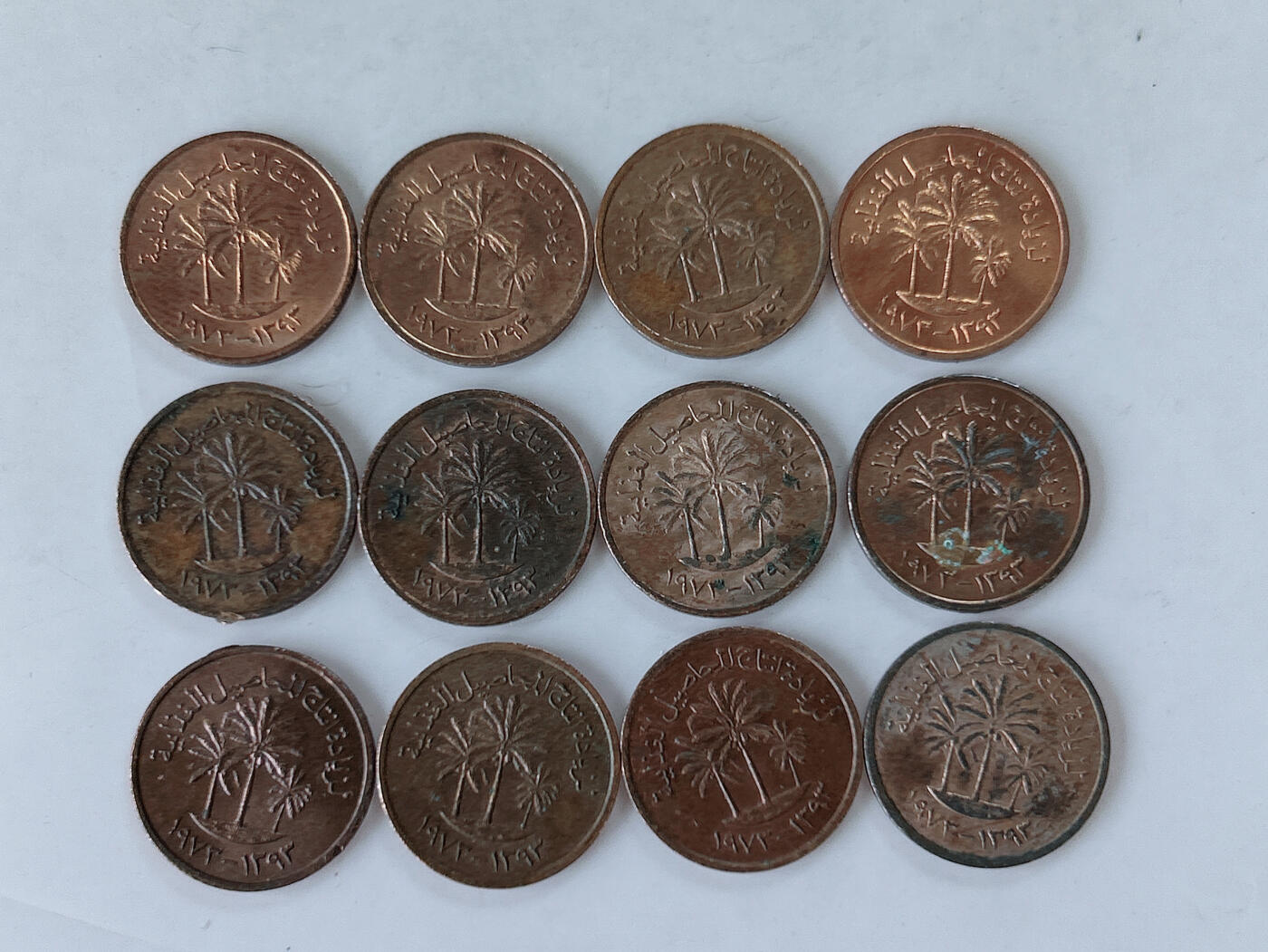 第一海外回流一元起拍收藏 散币专场 第86期 阿联酋1费尔 12枚