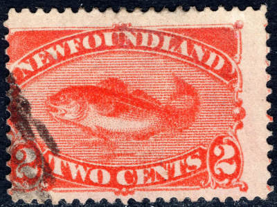 洪涛臻品批发群 精选邮票限时拍卖第六百二十三期  - 1887年纽芬兰鳕鱼古典邮票 世界第一种鱼类邮票 品相很好