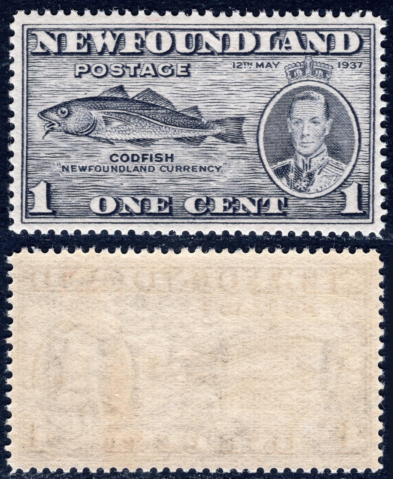 洪涛臻品批发群 精选邮票限时拍卖第六百一十九期  1937纽芬兰鳕鱼邮票 原胶润亮全品！润胶见图2