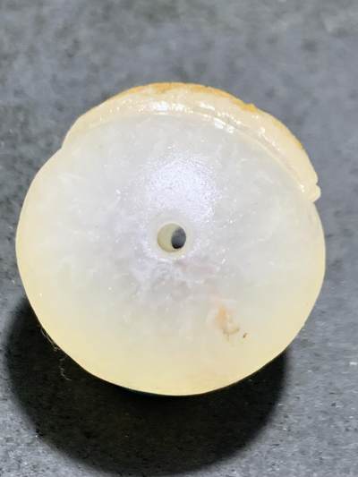 精美满冰飘亚光战国红玛瑙手工巧雕龙鱼随形圆珠一个 精美满冰飘亚光战国红玛瑙手工巧雕龙鱼随形圆珠一个