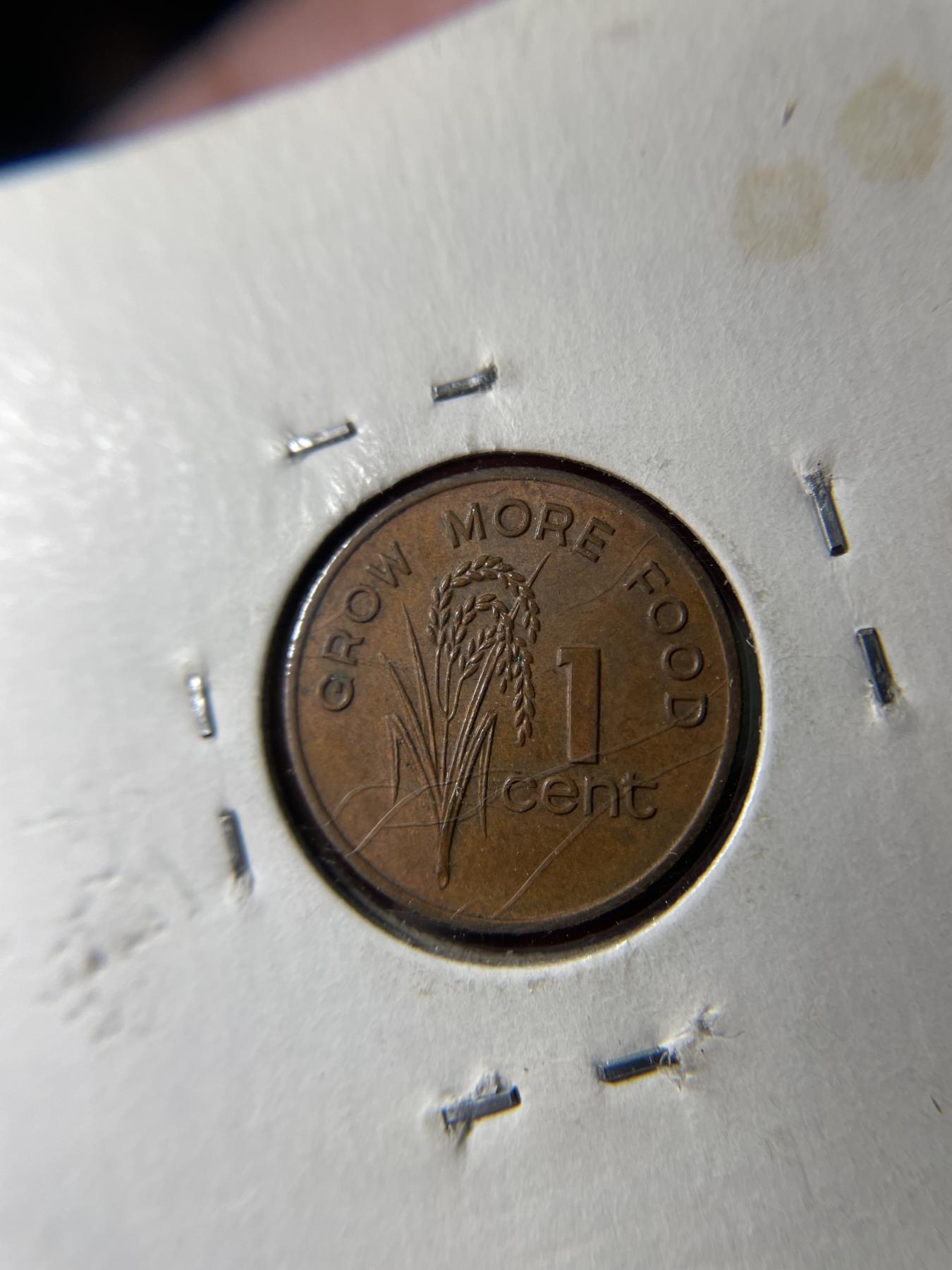 2024年集古藏今外币拍卖第六期-第5场—（总第55拍） 1980年斐济一分