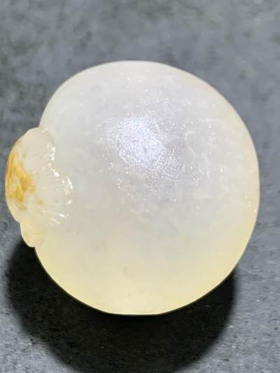 精美满冰飘亚光战国红玛瑙手工巧雕龙鱼随形圆珠一个 精美满冰飘亚光战国红玛瑙手工巧雕龙鱼随形圆珠一个