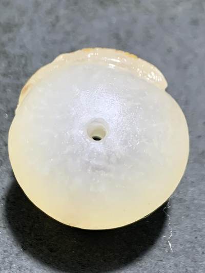 精美满冰飘亚光战国红玛瑙手工巧雕龙鱼随形圆珠一个 精美满冰飘亚光战国红玛瑙手工巧雕龙鱼随形圆珠一个