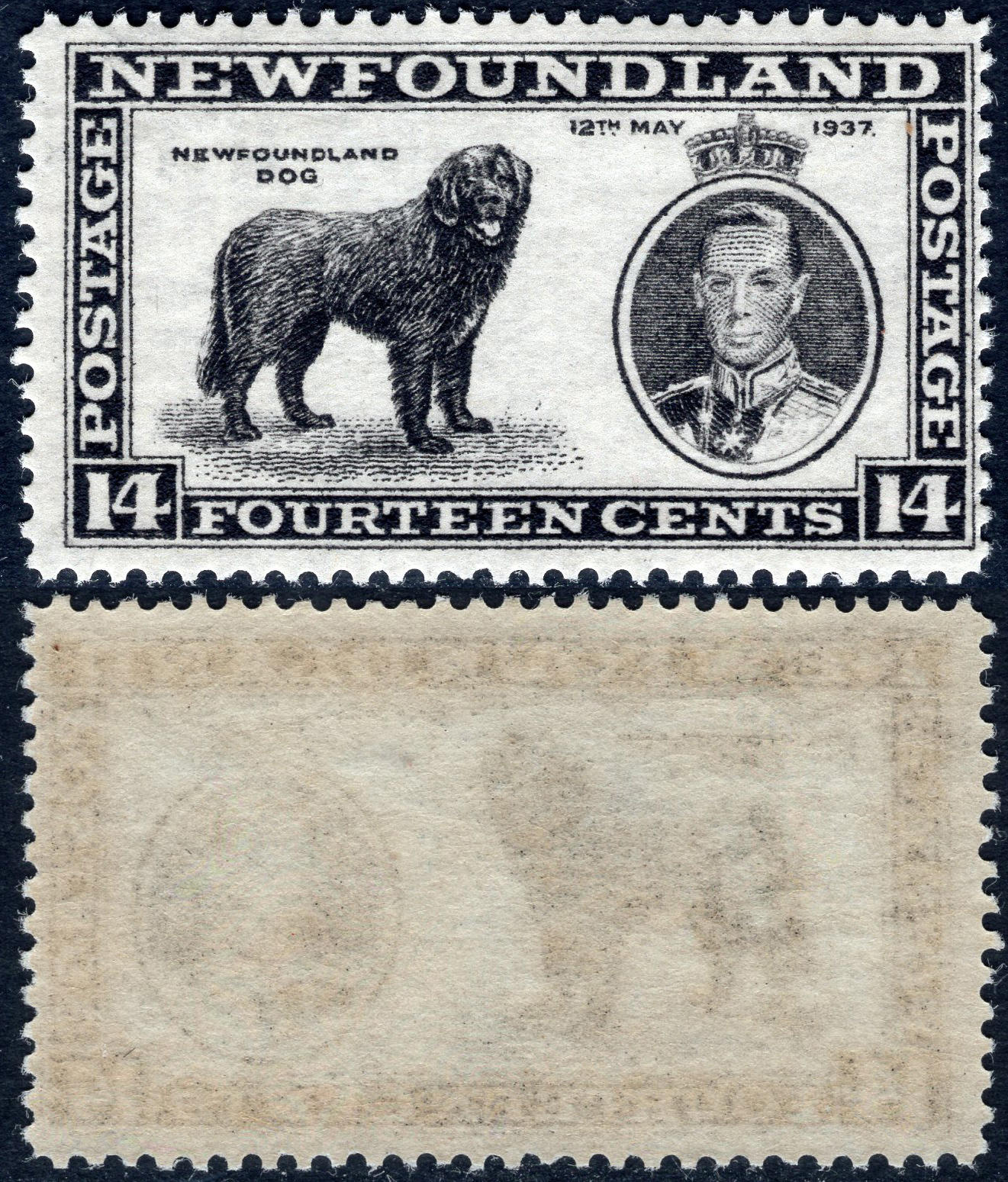 洪涛臻品批发群 精选邮票限时拍卖第六百一十九期  1937纽芬兰 纽芬兰狗邮票 原胶润亮全品！润胶见图2