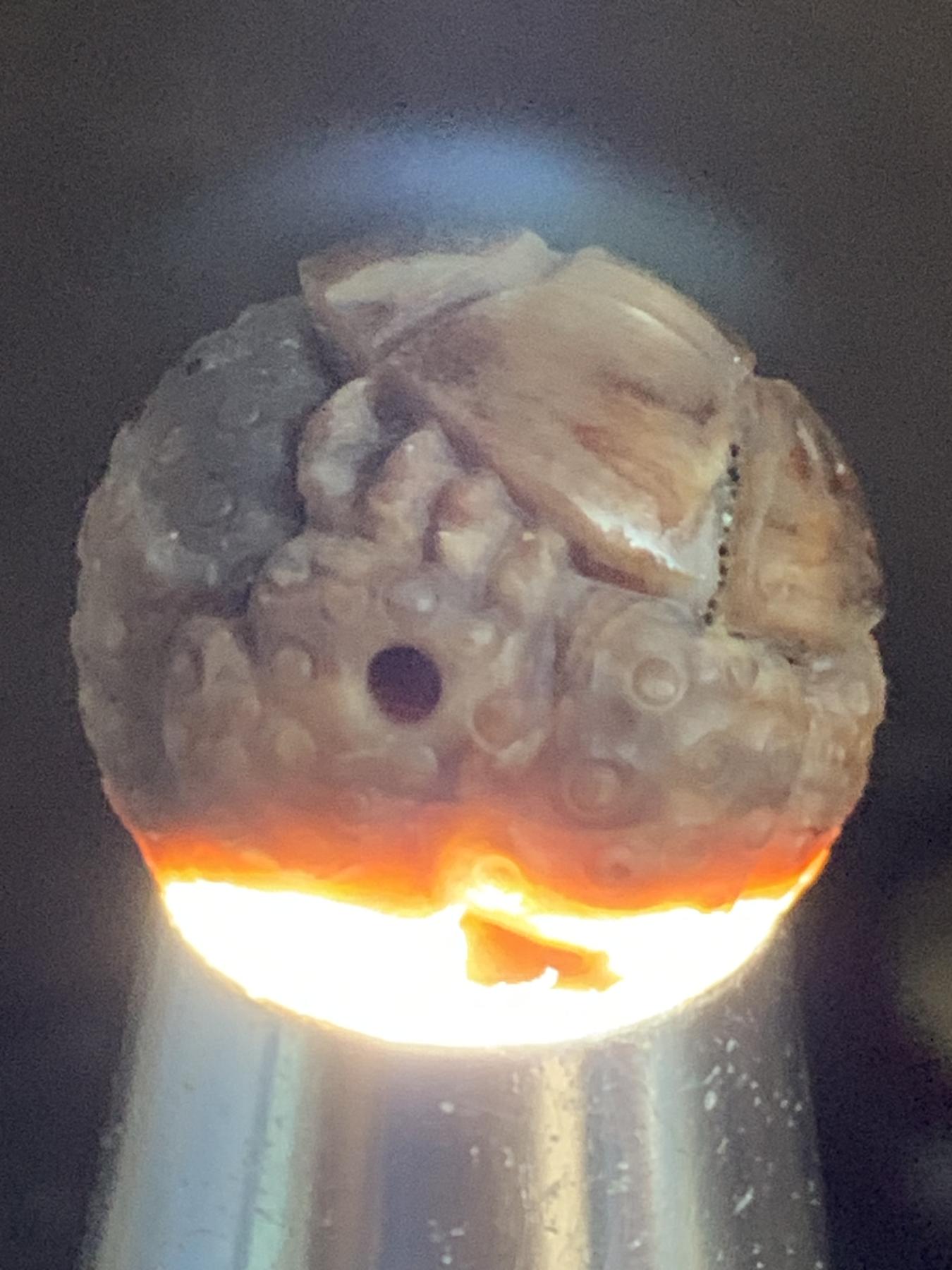精美天然缅甸树化玉（木化玉）手工雕刻招财金蟾珠一颗！