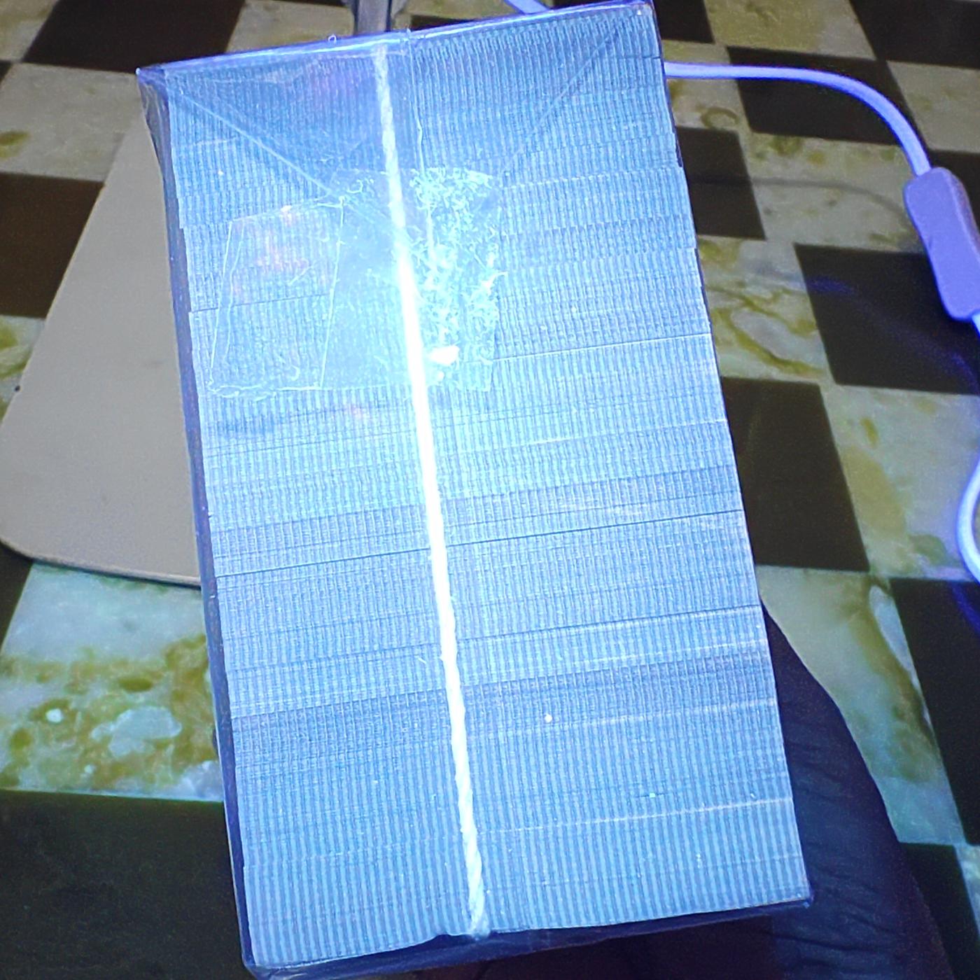 出1捆中国红YB六大冠中国红（东方红），绝品无油无斑，是1捆价格，喜欢联系。