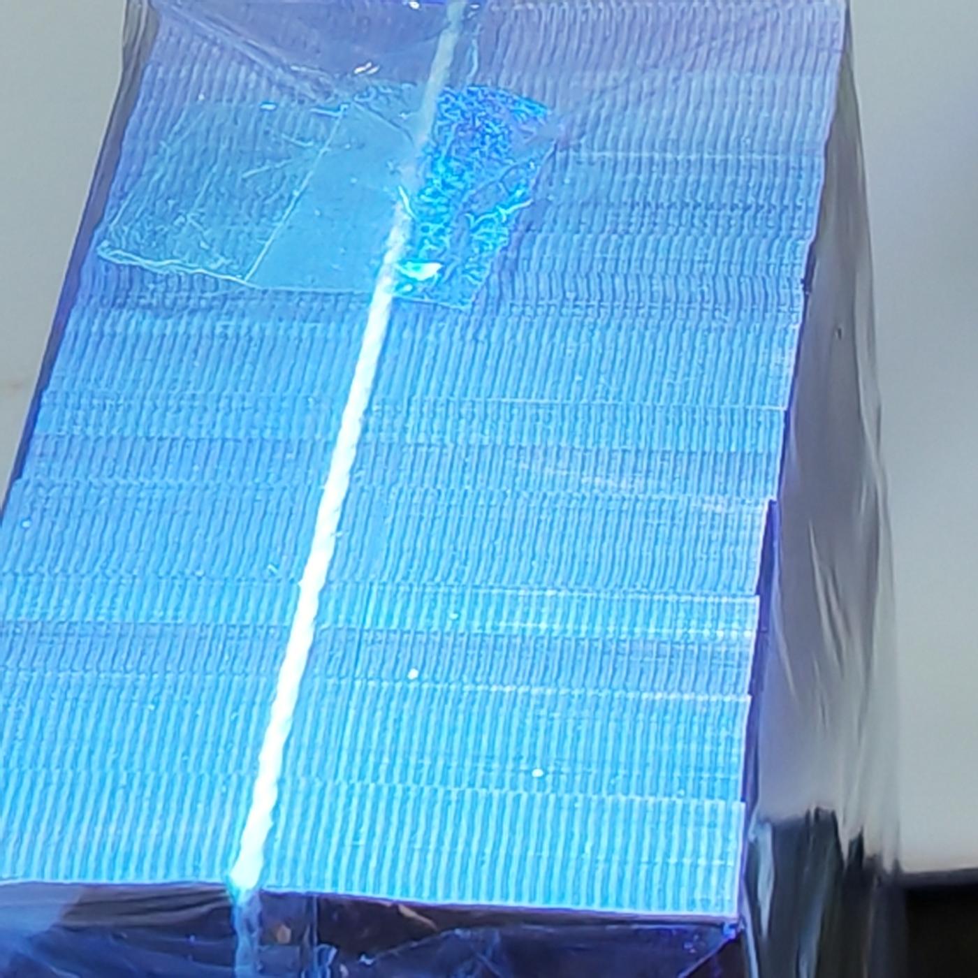 出1捆中国红YB六大冠中国红（东方红），绝品无油无斑，是1捆价格，喜欢联系。