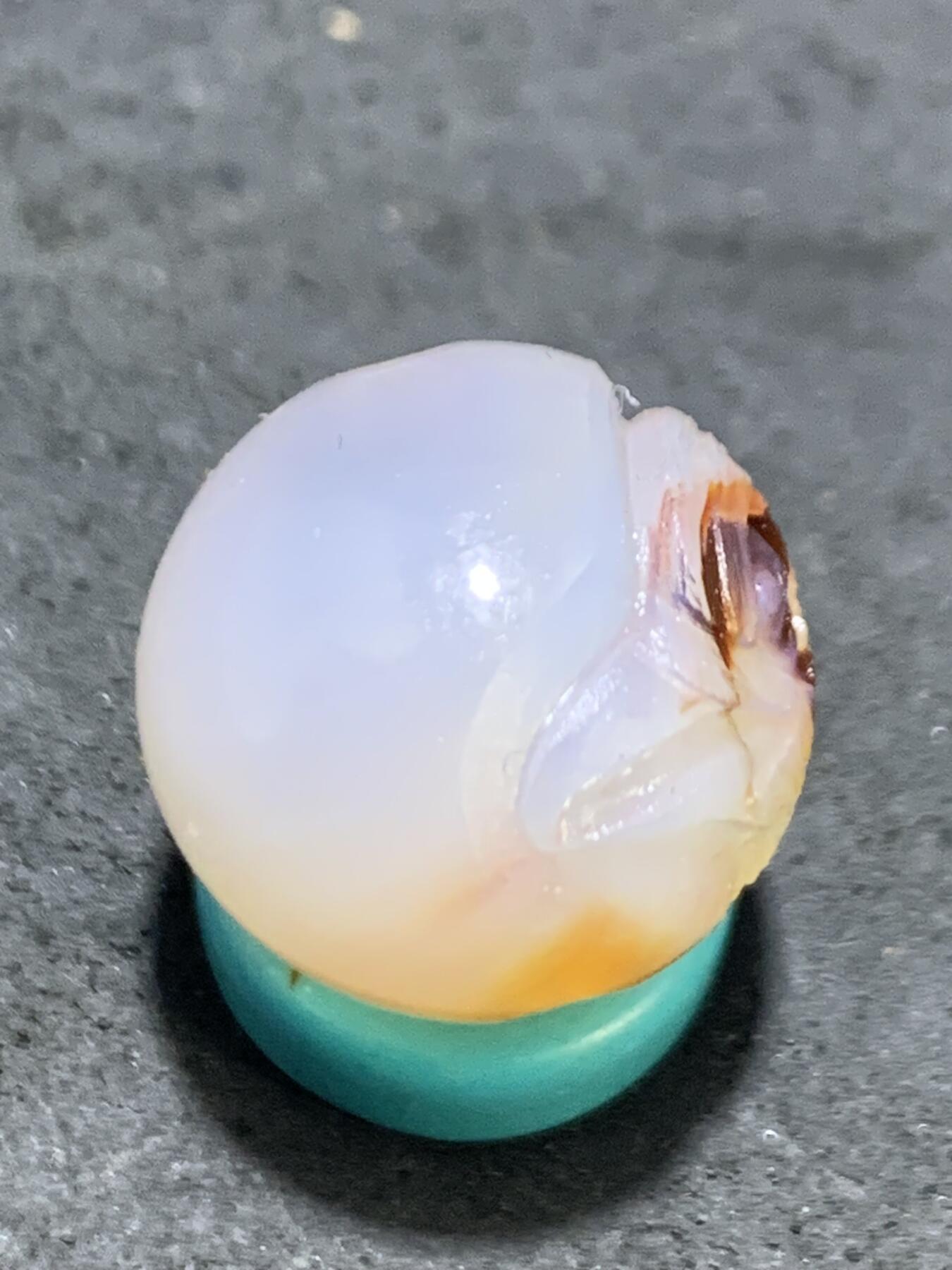 精美高玉化亚光海洋玉髓手工俏色巧雕雄鹰圆珠一个！