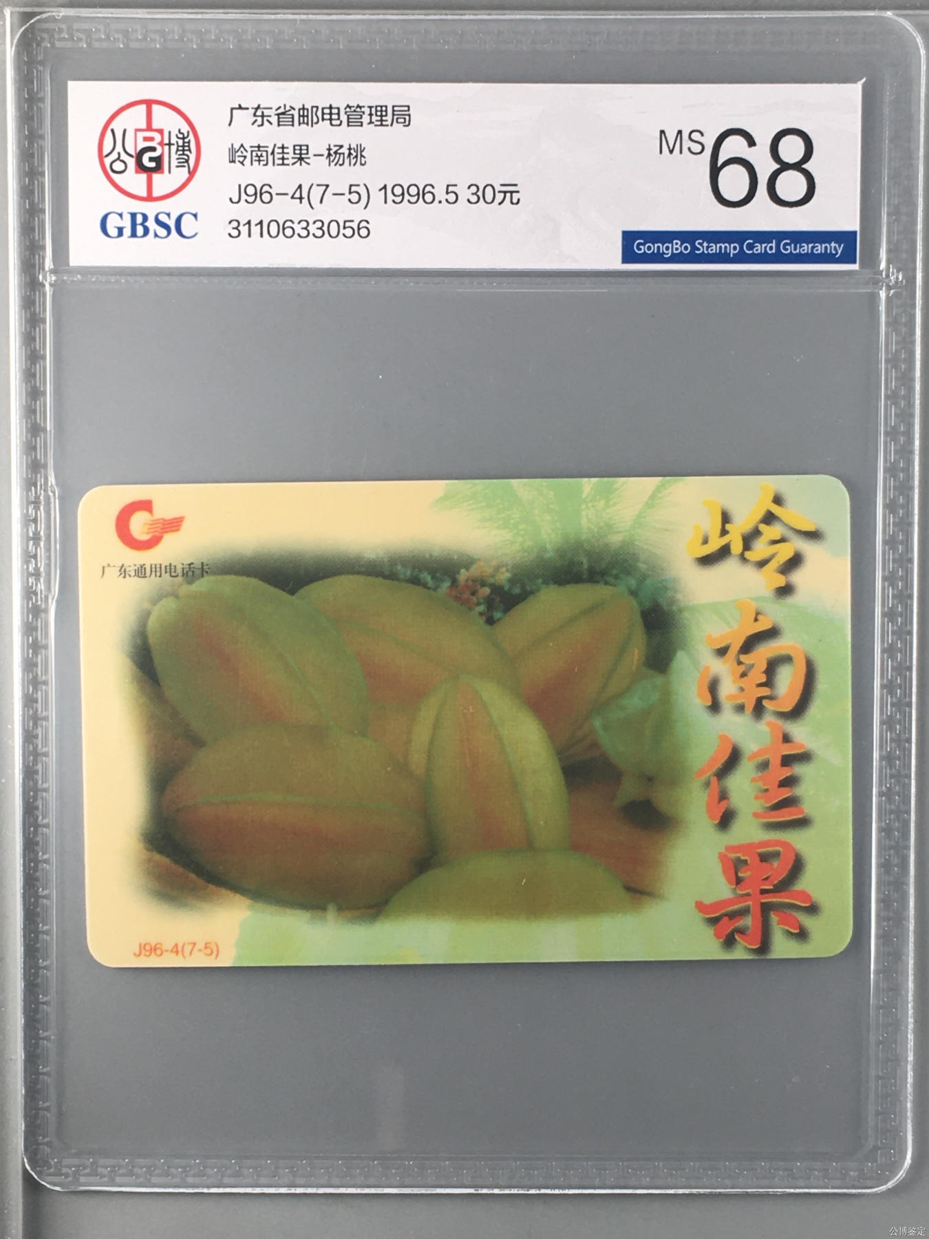 岭南佳果-荔枝