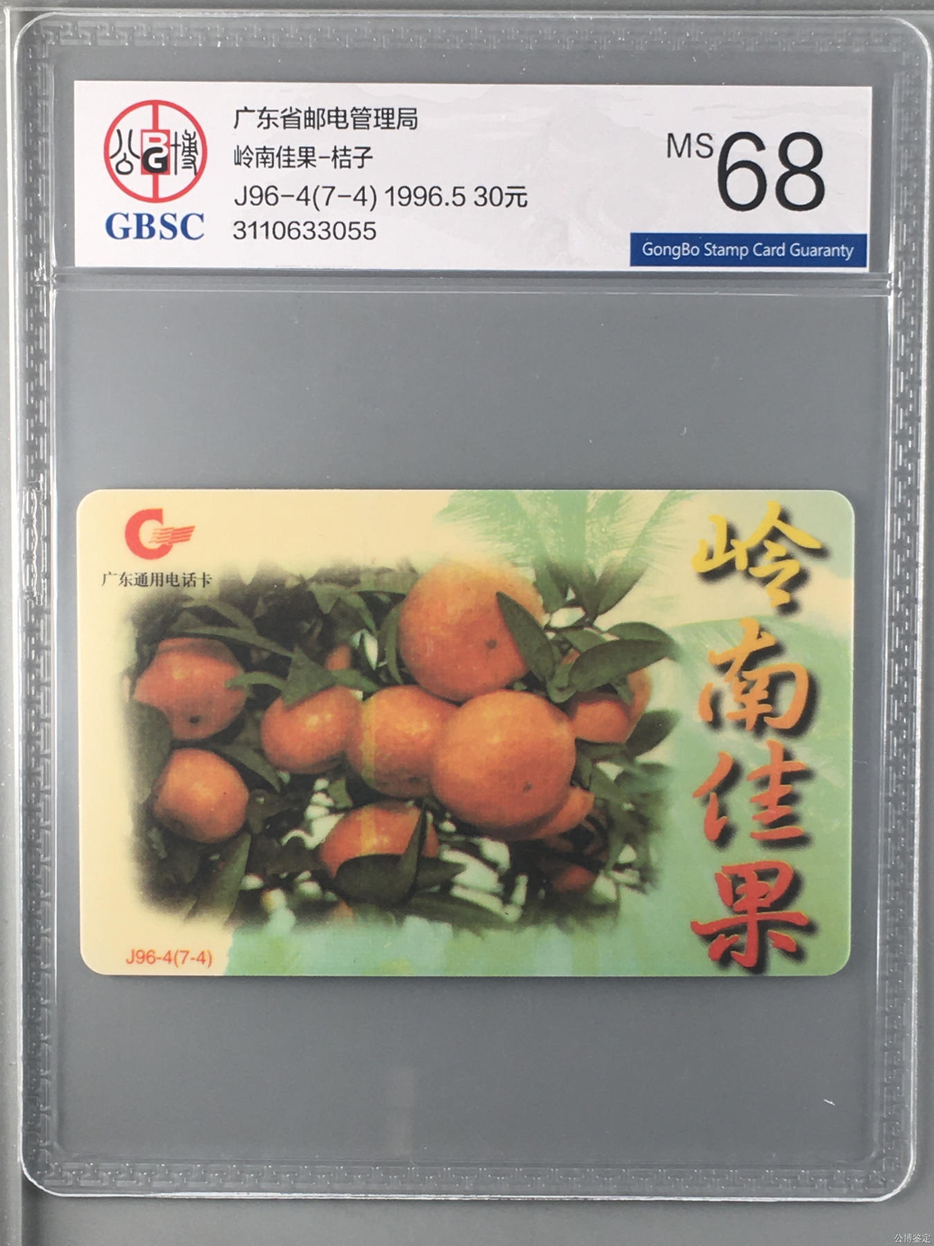岭南佳果-荔枝