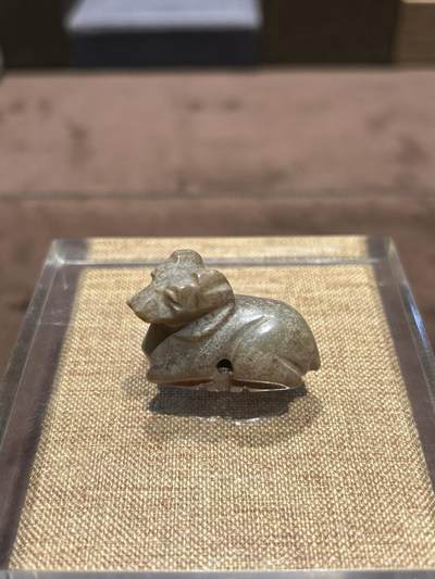 竞买交流 - 玉羊