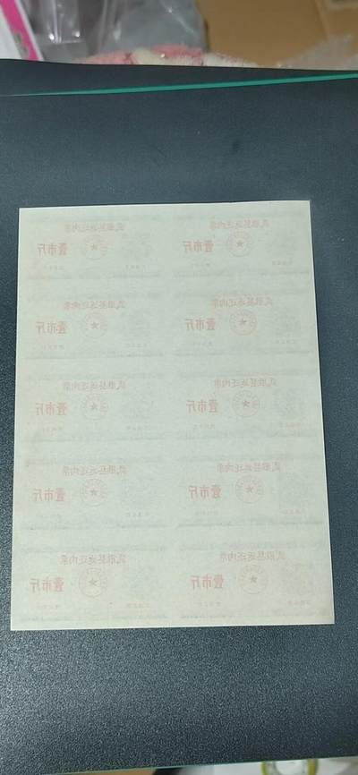 票证拍场    都是整版或者联票 🔥🔥武胜县返还肉票，整版，壹市斤，1973年发行，10联张